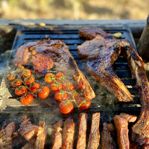 شارپ صحفه ای چدنی برای پخت غذا